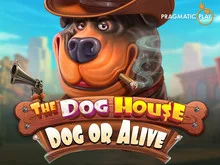 The Dog House – Dog or Alive